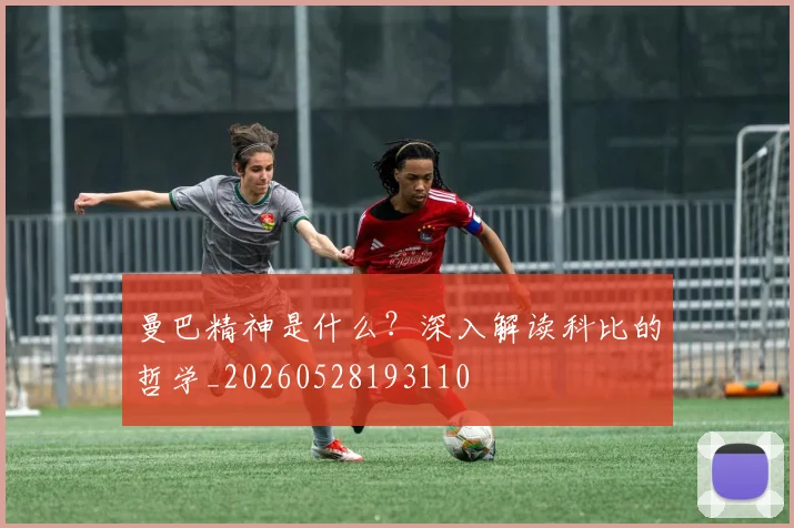 曼巴精神是什么？深入解读科比的哲学_20260528193110
